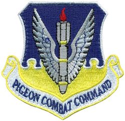 15th Attack Squadron Air Combat Command Morale
