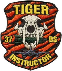 37th Bomb Squadron B-1 Instructor
