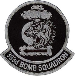 393d Bomb Squadron 
