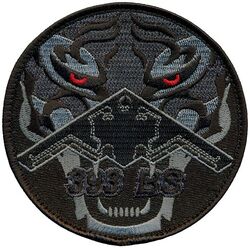 393d Bomb Squadron B-2
