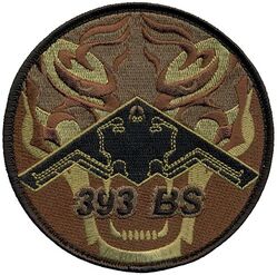 393d Bomb Squadron B-2
Keywords: OCP
