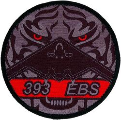393d Expeditionary Bomb Squadron B-2
