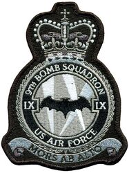 9th Bomb Squadron Morale
