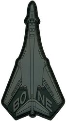 9th Bomb Squadron B-1 
Keywords: PVC