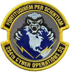 224th Cyber Operations Squadron
