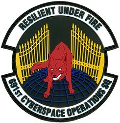 691st Cyberspace Operations Squadron
Keywords: PVC