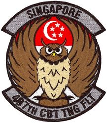 497th Combat Training Flight
