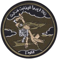 384th Expeditionary Air Refueling Squadron
Keywords: OCP