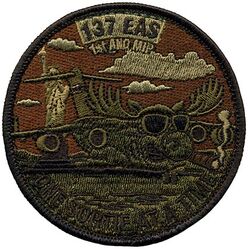 137th Expeditionary Airlift Squadron C-17
Keywords: OCP