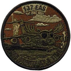 137th Expeditionary Aeromedical Evacuation Squadron C-17
Keywords: OCP