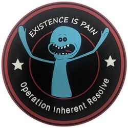 82d Expeditionary Air Support Operations Squadron Operation INHERENT RESOLVE
Keywords: PVC