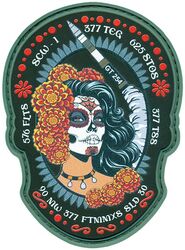 576th Flight Test Squadron (ICBM-Minuteman) GLORY TRIP 254GM
Keywords: PVC