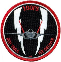 100th Fighter Squadron F-35 Pilot
