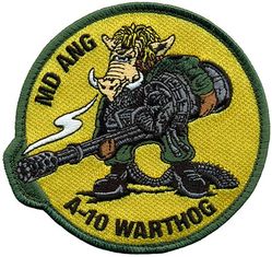 104th Fighter Squadron A-10

