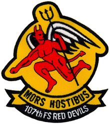 107th Fighter Squadron
