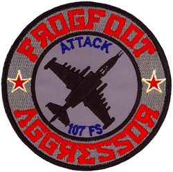 107th Fighter Squadron Aggressor
