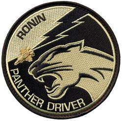 134th Expeditionary Fighter Squadron and 495th Expeditionary Fighter Squadron F-35 Pilot
