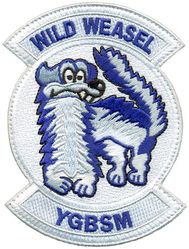 157th Fighter Squadron Wild Weasel
