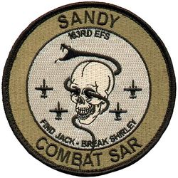 163d Expeditionary Fighter Squadron Combat Search & Rescue
