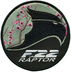 19th Fighter Squadron and 199th Fighter Squadron F-22
