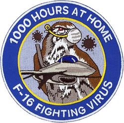 21st Fighter Squadron F-16 Morale
Made during 2020 COVID-19 pandemic.
