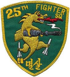 25th Fighter Squadron
