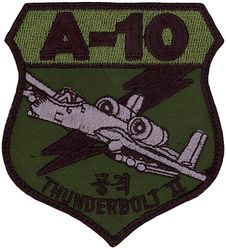 25th Fighter Squadron A-10
Keywords: Subdued