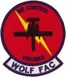 25th Fighter Squadron A-10 Wolf Forward Air Control

