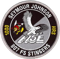 307th Fighter Squadron F-15E 1000 Hours
