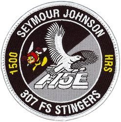 307th Fighter Squadron F-15E 1500 Hours
