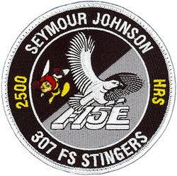 307th Fighter Squadron F-15E 2500 Hours
