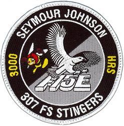 307th Fighter Squadron F-15E 3000 Hours
