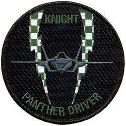 308th Fighter Squadron F-35 Pilot

