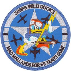 309th Fighter Squadron 69th Anniversary
