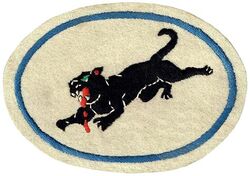 35th Pursuit Squadron, Interceptor; 35th Fighter Squadron and 35th Fighter Squadron, Two Engine
Organized as 35 Aero Squadron on 12 Jun 1917. Demobilized on 19 Mar 1919. Reconstituted, and redesignated 35 Pursuit Squadron, on 24 Mar 1923. Activated on 25 Jun 1932. Redesignated: 35 Pursuit Squadron (Fighter) on 6 Dec 1939; 35 Pursuit Squadron (Interceptor) on 12 Mar 1941; 35 Fighter Squadron on 15 May 1942; 35 Fighter Squadron, Two Engine, on 19 Feb 1944; 35 Fighter Squadron, Single Engine, on 8 Jan 1946; 35 Fighter Squadron, Jet, on 1 Jan 1950; 35 Fighter-Bomber Squadron on 20 Jan 1950; 35 Tactical Fighter Squadron on 1 Jul 1958; 35 Fighter Squadron on 3 Feb 1992-.

Insignia approved on 7 Nov 1932. Australian made, embroidery on wool. 

Stations. Camp Kelly, TX, 12 Jun-11 Aug 1917; Etampes, France, 20 Sep 1917; Paris, France, 23 Sep 1917; Issoudun, France, Nov 1917; Clisson, France, 4 Jan 1919; St. Nazaire, France, 9-20 Feb 1919; Garden City, NY, 9-19 Mar 1919. Langley Field, VA, 25 Jun 1932; Mitchel Field, NY, 14 Nov 1940-26 Jan 1942; Brisbane, Australia, 6 Mar 1942; Port Moresby, New Guinea, 26 Apr 1942; Woodstock, Australia, 29 Jun 1942; Townsville, Australia, 27 Jul 1942; Milne Bay, New Guinea, 18 Sep 1942; Mareeba, Australia, 24 Feb 1943; Port Moresby, New Guinea, 10 May 1943; Finschhafen, New Guinea, 25 Dec 1943; Cape Gloucester, New Britain, 19 Feb 1944; Nadzab, New Guinea, 14 Mar 1944; Owi, Schouten Islands, 1 Jul 1944; Morotai, 4 Oct 1944; Dulag, Leyte, 5 Nov 1944 (operated from Morotai, 5-28 Nov 1944); San Jose, Mindoro, 20 Dec 1944; Ie Shima, 9 Aug 1945; Fukuoka, Japan, c. 21 Nov 1945; Ashiya AB, Japan 20 May 1946; Itazuke AB, Japan, 5 Sep 1946; Ashiya AB, Japan, 15 Apr 1947; Miho AB, Japan, 10 Aug 1948; Itazuke AB, Japan, 16 Jun 1949; Tsuiki AB, Japan, 11 Aug 1950; Suwon AB, South Korea, 7 Oct 1950; Kimpo AB, South Korea, 26 Oct 1950; Pyongyang, North Korea, 25 Nov 1950; Seoul AB, South Korea, 3 Dec 1950; Itazuke AB, Japan, 10 Dec 1950; Kimpo AB, South Korea, 25 Jun 1951; Suwon AB, South Korea, 24 Aug 1951; Itazuke AB, Japan, 20 Oct 1954; Yokota AB, Japan, 13 May 1964 (deployed at Korat RTAFB, Thailand, 24 Sep-20 Nov 1964; Takhli RTAFB, Thailand, 4 May-25 Jun 1965 and 19 Oct-15 Nov 1965; Osan AB, South Korea, 10 Jun-16 Jul 1968, 22 Aug-1 Oct 1968, 23 Nov-26 Dec 1968, 21 Mar-23 Apr 1969, 30 Jun-6 Aug 1969, 17 Oct-29 Nov 1969, 30 Jan-7 Mar 1970, 8-30 May 1970, 11 Jul-8 Aug 1970, 2-30 Oct 1970, and 26 Dec 1970-23 Jan 1971); Kunsan AB, South Korea, 15 Mar 1971- (deployed at DaNang AB, South Vietnam, 3 Apr-12 Jun 1972; Korat RTAFB, Thailand, 13 Jun-c. 12 Oct 1972).

