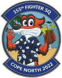 355th Fighter Squadron Exercise COPE NORTH 2022
