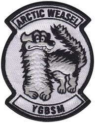 356th Fighter Squadron Wild Weasel
