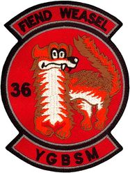 36th Fighter Squadron Wild Weasel
