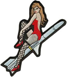 36th Fighter Squadron Wild Weasel Morale
