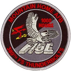 389th Fighter Squadron F-15E 1000 Hours
