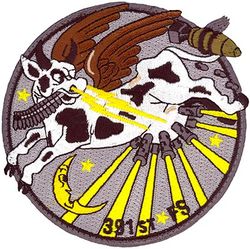 391st Fighter Squadron Heritage
