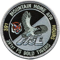 391st Fighter Squadron F-15E Pilot 391 Hours
