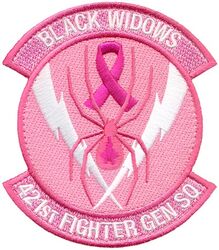 421st Fighter Generation Squadron Morale
