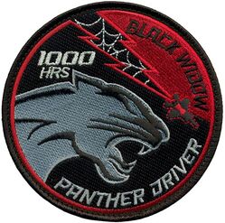421st Fighter Squadron F-35 Pilot 1000 Hours
