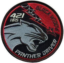 421st Fighter Squadron F-35 Pilot 421 Hours
