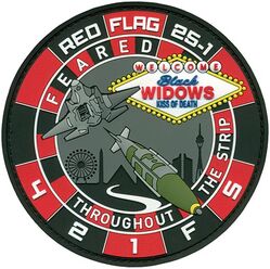 421st Fighter Squadron Exercise RED FLAG 2025-1
Keywords: PVC