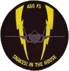 466th Fighter Squadron F-35
