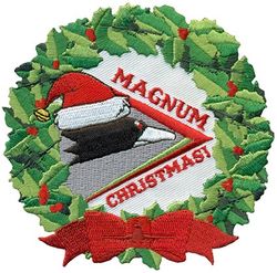 480th Fighter Squadron Morale
Christmas 2021
