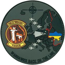 480th Fighter Squadron Morale NATO AIR SHIELDING 2024
Keywords: PVC