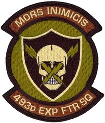 493d Expeditionary Fighter Squadron
